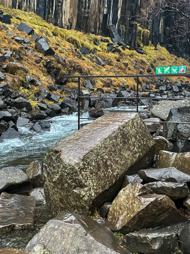 Columnas de basalto en Svartifoss, en el PN Skaftafell