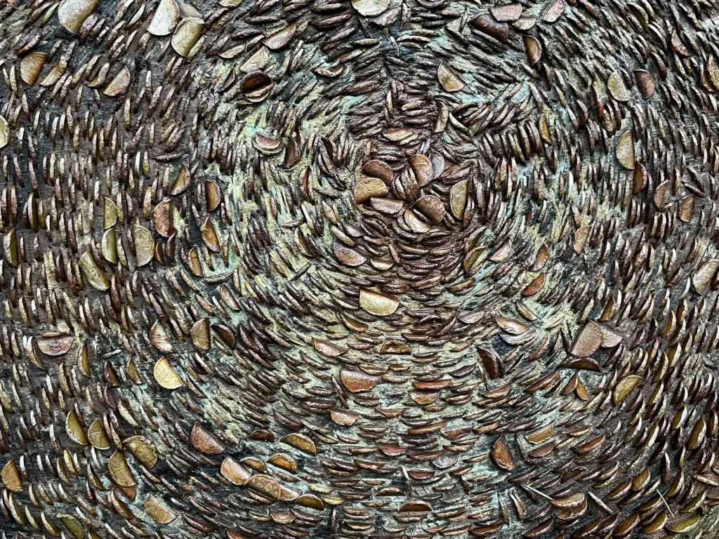 Monedas clavadas en un árbol en The Hermitage, Escocia