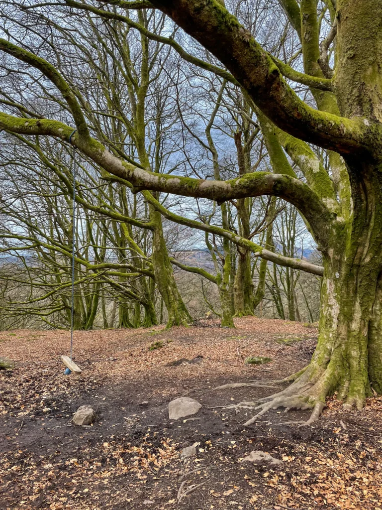 Columpio en la ruta a las Bracklinn Falls en el Parque Nacional Loch Lomond y los Trossachs 