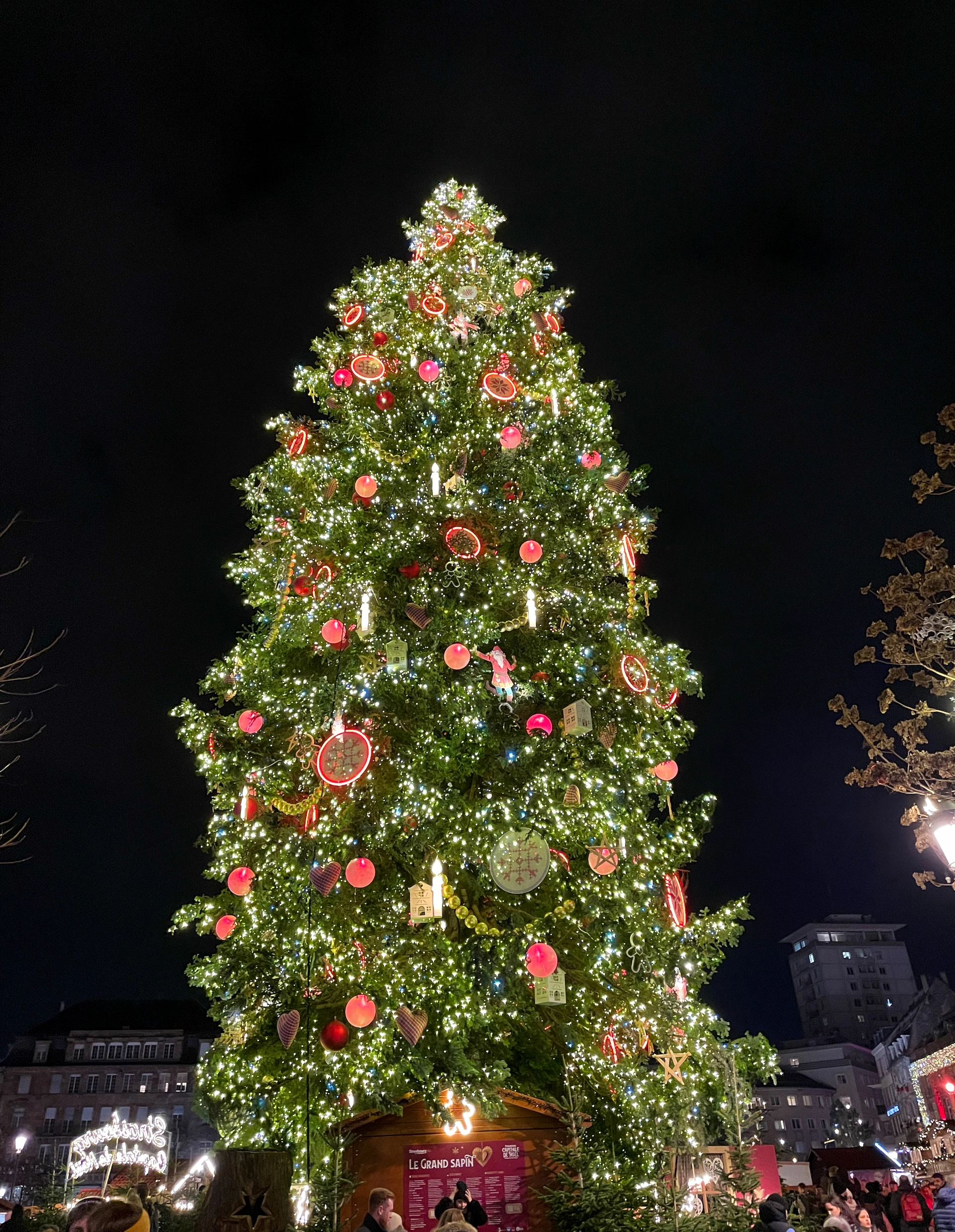 El árbol de Navidad de la plaza Kléber en Estrasburgo, un imprescindible